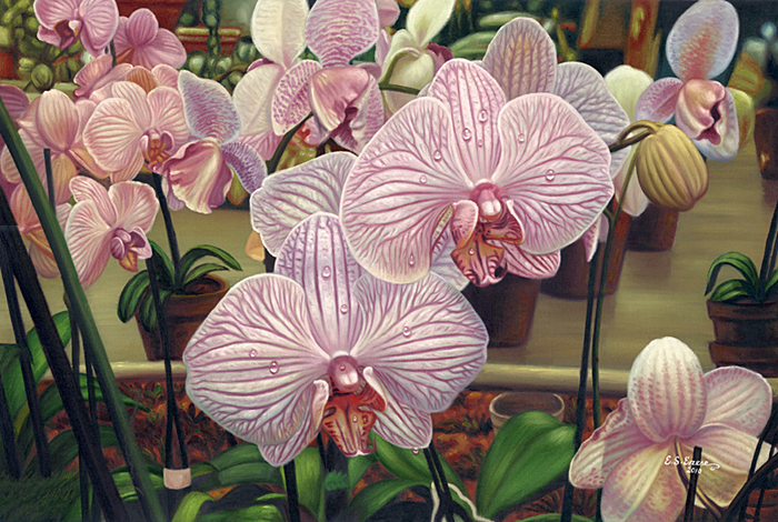 Pink Orchid Ensemble(EE11)