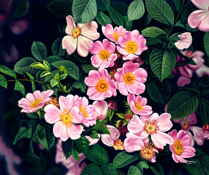 Pink and Yellow Blossoms(EE16)