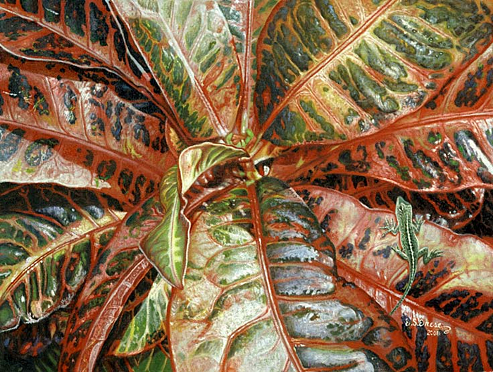 Croton with Gecko(EE19)