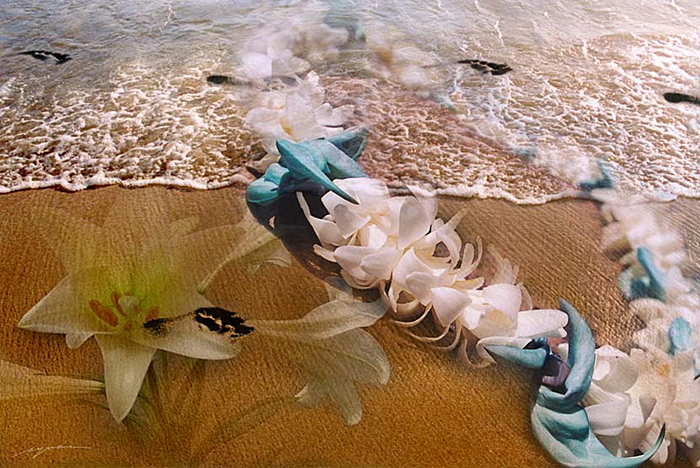 Fragrant Memorie(CQ02)