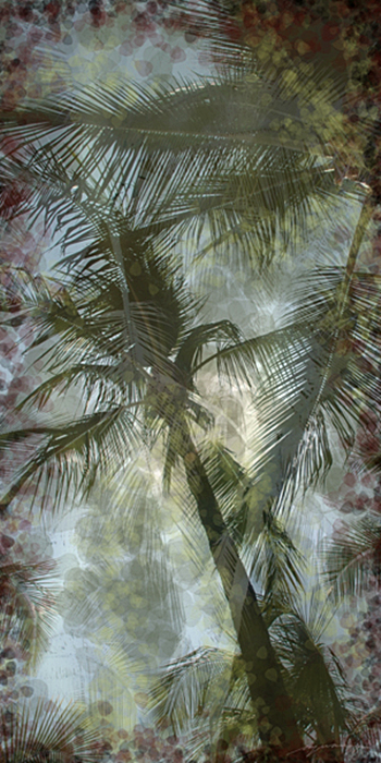 Palm Trees(CQ05)