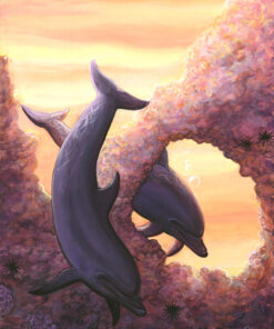 Purple Dolphin Dream（RI01)