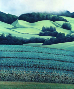 Pineapple Fields（SS10)