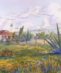 Century Plants（JRMF06)