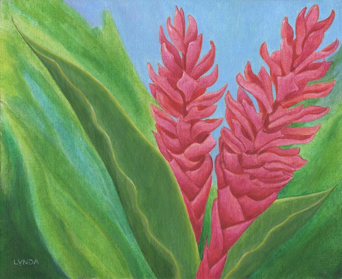 Pink Ginger(LT03)