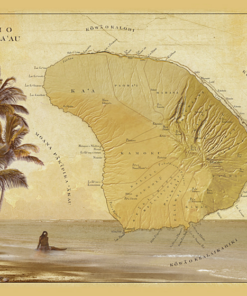 Lanai O Kaulula’au 2010 （WH15)