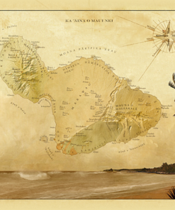 Maui – Honokahua (Kapalua)2009 （WH16)