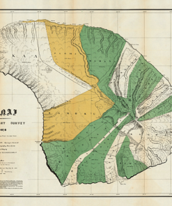 Alexander USGS Lanai 1878 （HM57)
