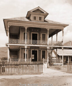 Tong Society Lahaina(VP23)