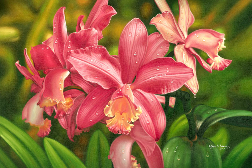 Frilly Pink Orchids(EE31)
