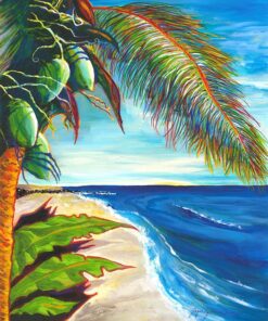Baby Beach Paradise（JMV01)